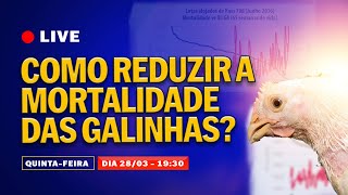 LIVE  Como reduzir a MORTALIDADE das galinhas [upl. by Elledoj14]