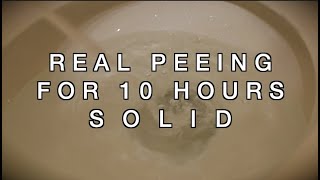 Peeing Sound for TEN HOURS  Sound to Make You Pee  High Quality Recording [upl. by Maryn782]