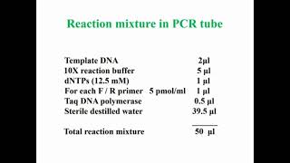 Reaction Mixture in PCR Tube [upl. by Savill]