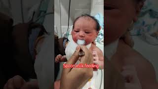 Spoon milk feeding New born baby 😋🍼 nicumom reels newbornbaby babyboy niculife [upl. by Eilata736]