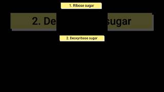 what is ribose and deoxyribose sugar l sugar found in DNA or RNA ।biology [upl. by Kampmeier]