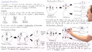 Aneuploidy and Nondisjunction Part II [upl. by Meier]