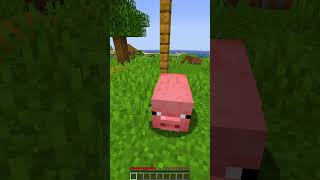 Minecraft MAS se eu ACERTAR a COR que VOCÊ está PENSANDO VOCÊ PERDE 👀 [upl. by Marcelia]