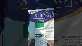 M45 fungicide use  indotop insecticide clothianidin 50wg  combination spray m45 ampindotop [upl. by Camila]