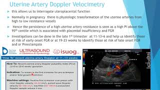 Fetal Growth Restriction Diagnosis and Management Dr L Hlatywayo [upl. by Gnos891]