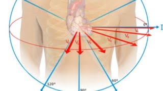 Bifascicular Block [upl. by Sedicla548]