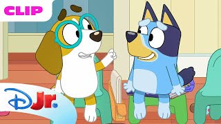 Bluey Season 1 quotDoctorquot Episode Clip  disneyjr x BlueyOfficialChannel [upl. by Anigar]