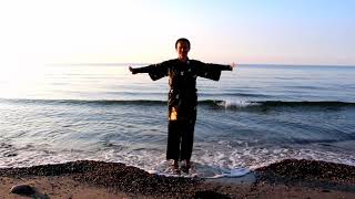 Qi Gong Lohan Hands by Mette Sahl Pushing Mountains Separating Waters Plucking Stars [upl. by Nolra]