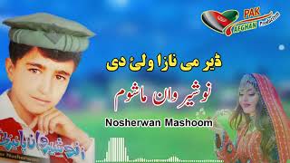 Nosherwan ashna pashto old songs  Pashto old songs  نوشیروان ا شنا کاکڑی غاڑی [upl. by Idnarb]