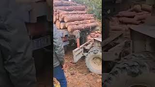 Preparation process before transporting logs [upl. by Wieren]