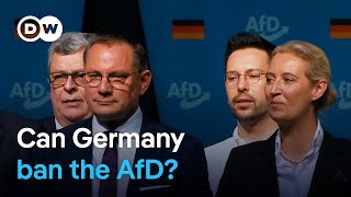 What quelling the farright AfD party could mean for German democracy  DW News [upl. by Noleta]