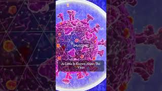 What is Immune System I Part 3 [upl. by Socher]