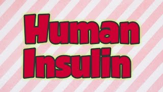 Human Insulin  Preoproinsulin  Proinsulin  Mature Insulin [upl. by Ahsocin]