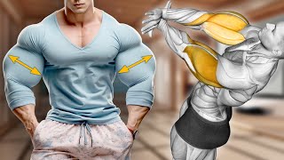 Dumbbell Exercises to Get Big Triceps and Biceps [upl. by Alekahs]