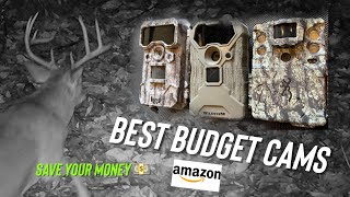 The Best Budget Trail Cams for Deer Hunting in 2024 [upl. by Marguerita]