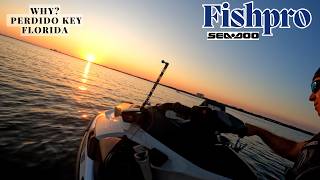 Thrilling Adventure on the Fishpro and Yamaha SVHO Exploring Perdido Key [upl. by Einoj]