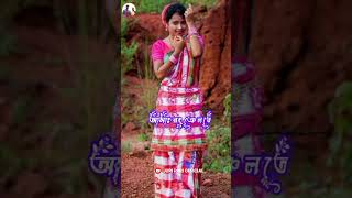 New santali status video song💃💃💃am do kurirem sajaw ana re💃💃💃 santalilovestutas [upl. by Imehon132]