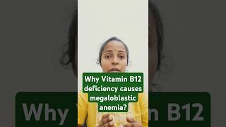 Physiology class  why Vitamin B12 deficiency causes megaloblastic anemia [upl. by Etnahc299]