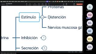 FISIOLOGIA FISIOPATOLOGIA  FASE 3  TEORIA 02  01 [upl. by Hollie]