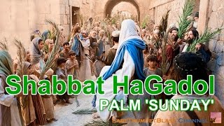 Shabbat HaGadol  Palm Sunday [upl. by Esirahs]