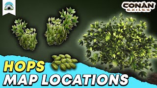 Hops Locations Where to find Hops Easily  Guide  Conan Exiles 2022 [upl. by Leanahtan]