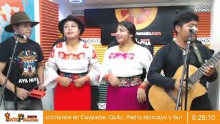 Los Inquietosos de Cayambe 2024 [upl. by Rubio171]