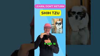 The Exclusive History of Shih Tzu Breeding petzpaws learndontreturn shihtzu dogbreed dog [upl. by Biebel287]