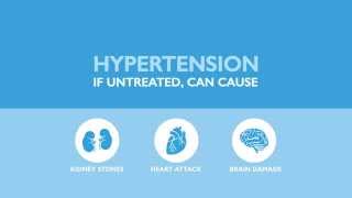 Hypertension Facts [upl. by Releehw644]