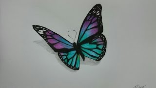 How to Draw a Realistic Butterfly with Colored Pencils [upl. by Nnaasil]