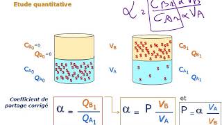 Extraction Liquide Liquide Résumé [upl. by Nirtiak]