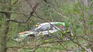 Rally Appennino Reggiano 2019 Incidente [upl. by Essiralc]