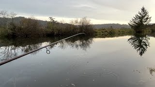 Fishing Coastal Trib For Chinook I Got a Nice One [upl. by Naoma243]