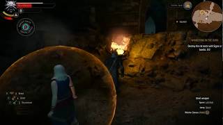 Wandering in The Dark The Witcher 3 Destroy Rat Nest [upl. by Onaivatco973]