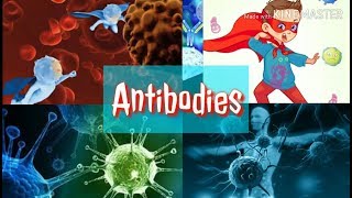 Antibodies  Tamil  Antibody animation  MR Tamil science [upl. by Eissak270]