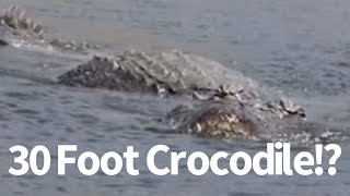 30 Foot Crocodile Seen in Philippines [upl. by Adnorahs297]