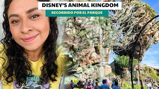 Disneys ANIMAL KINGDOM 2024 Recorrido por el parque y mejores atracciones [upl. by Burgener]