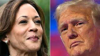 Présidentielle américaine  que disent les sondages du match Kamala Harris  Donald Trump [upl. by Buonomo185]