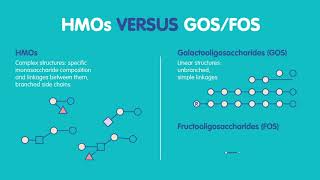 What you need to know about Human Milk Oligosaccharides HMOs [upl. by Oicirtap514]