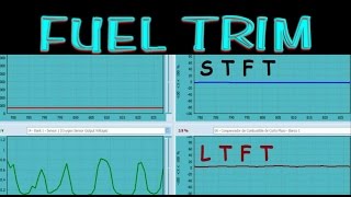 Introduccion al FUEL TRIM a corto y largo plazo version completa [upl. by Eidnas855]