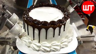 How Cake Is Made In Factory  Automatic Cake Making Machine [upl. by Bogoch]