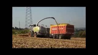 Egide London mais hakselen 2016 met Claas Jaguar 980 [upl. by Mordy486]