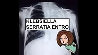 Klebsiella Serratia Enterobacter [upl. by Snodgrass300]