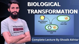 Biological Gene Transfer Methods  Biological Transformation [upl. by Yance]