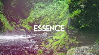 Seaboard  Essence [upl. by Viole]