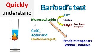 Barfoed test [upl. by Ruddy]