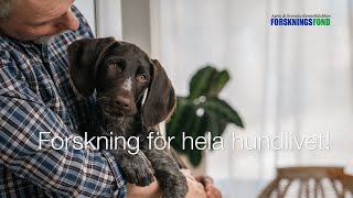 Forskning för hela hundlivet [upl. by Peltz420]