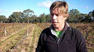 Nick Dry from Yalumba talks about our Nursery Block Project [upl. by Brinkema738]