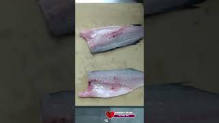 How to fillet sea bass  Filetowanie Okonia Morskiego [upl. by Marbut]