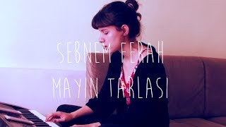 Beyza Doğuç  Mayın Tarlası Şebnem Ferah Cover [upl. by Aland395]