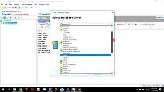 DbVisualizer Pro Connect to PostgreSQL Server [upl. by Hafeetal]